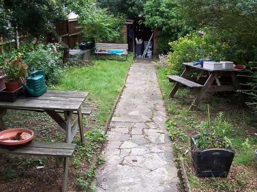 Garden (pic 2)