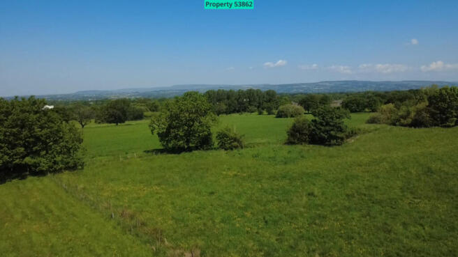 View from Plot 2