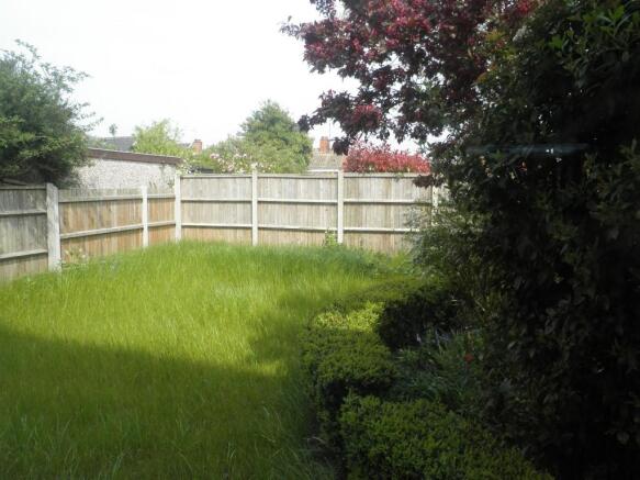 back garden
