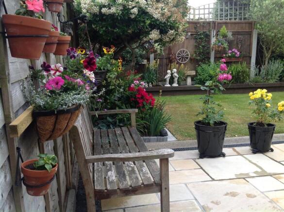 garden 3.jpg