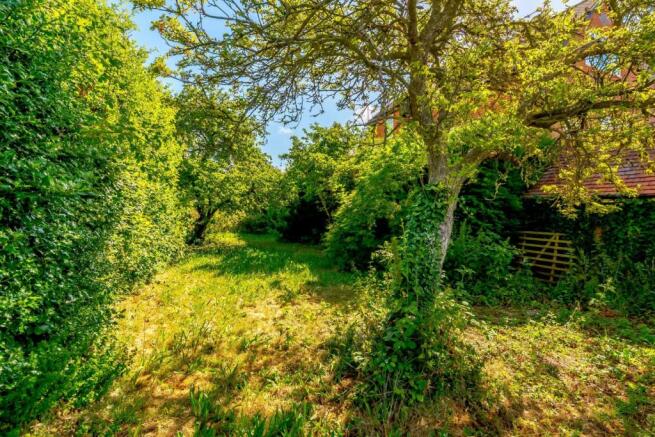 Orchard 2