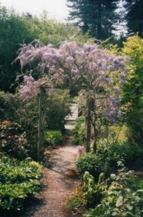 GARDEN PATH