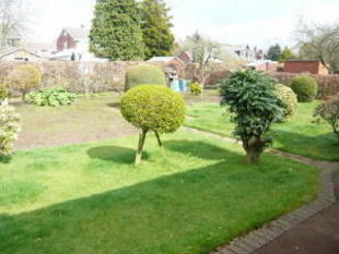Photo 4