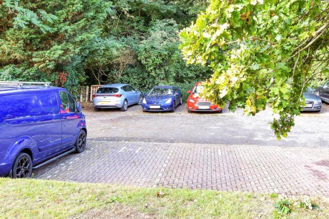 Driveway/Parking