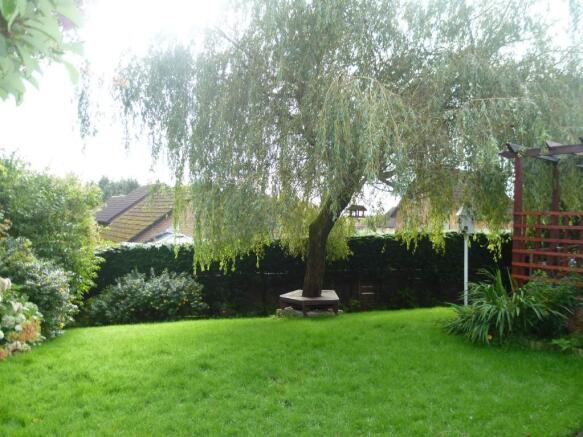 SIDE GARDEN