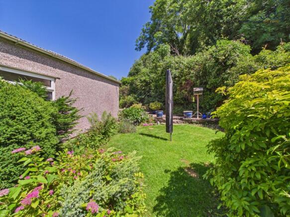 Back Garden