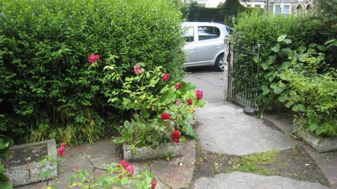 Front Yard.JPG