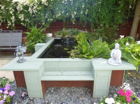 Pond