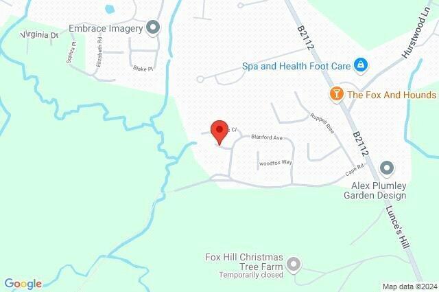 Google Maps Image