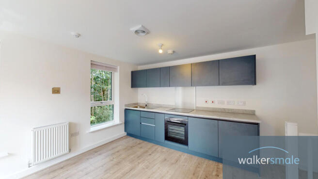 41-Copper-Beach-Court-07112023_101544