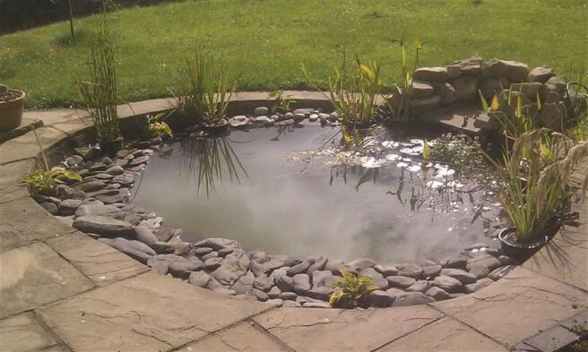 Pond