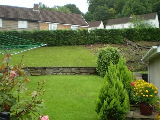 Side Garden