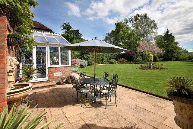 Patio Area