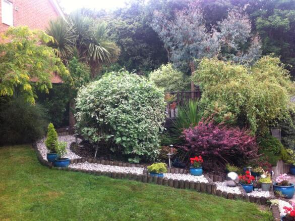 Photo 28