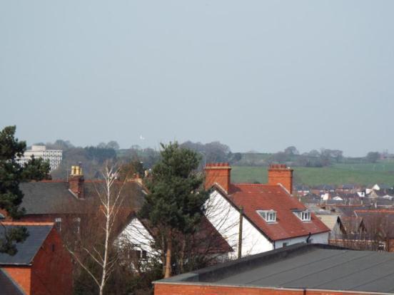 Rear Views