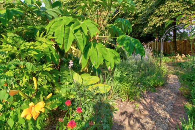 Garden 1