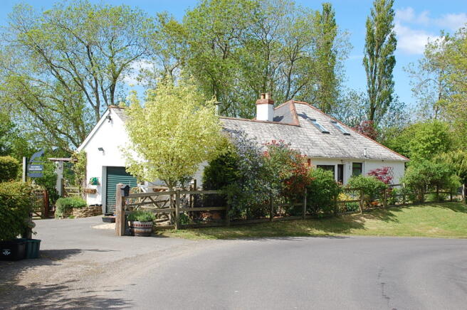 Photo 4