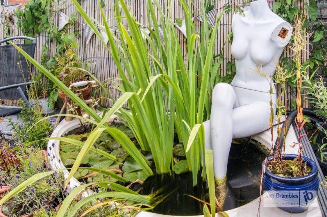Water Feature