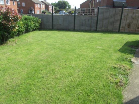 Garden 2
