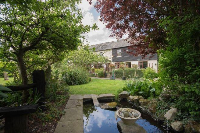 garden pond