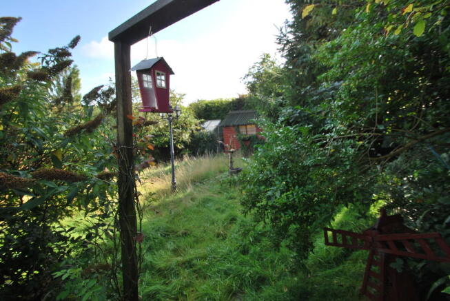 Photo 7