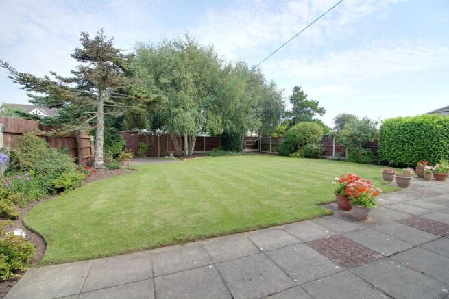Garden at Back