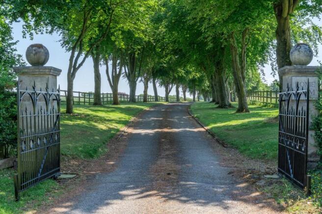 Driveway
