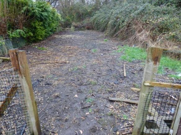 VEGETABLE PLOT