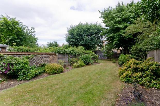 Garden 1