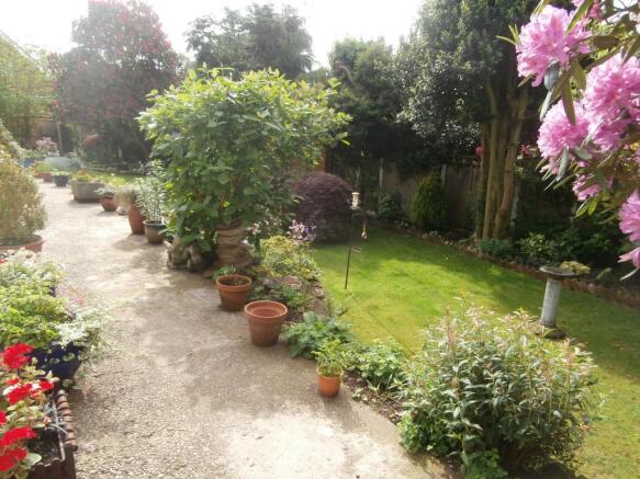Image 13