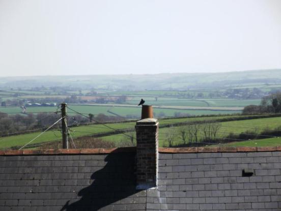 View From Rear Gdn