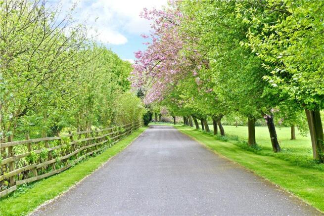 Driveway