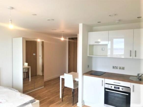 Kitchen/Living Area