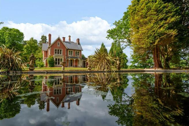 Pond