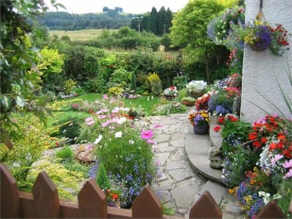 Photo 10