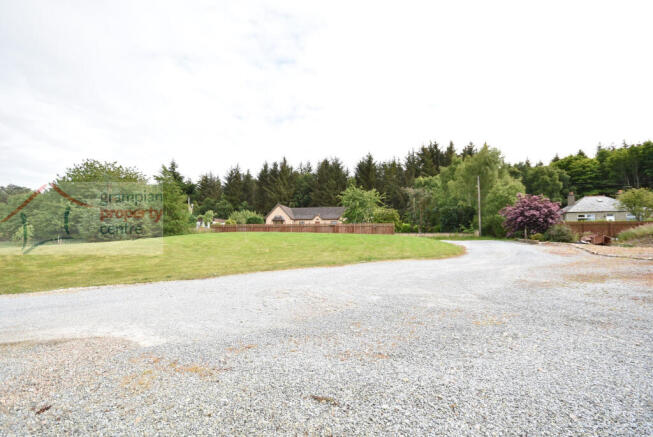 Driveway .JPG