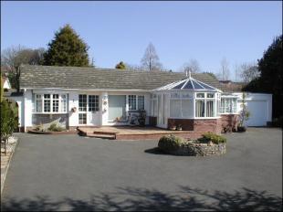 Front Aspect