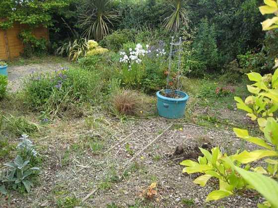 Photo 8