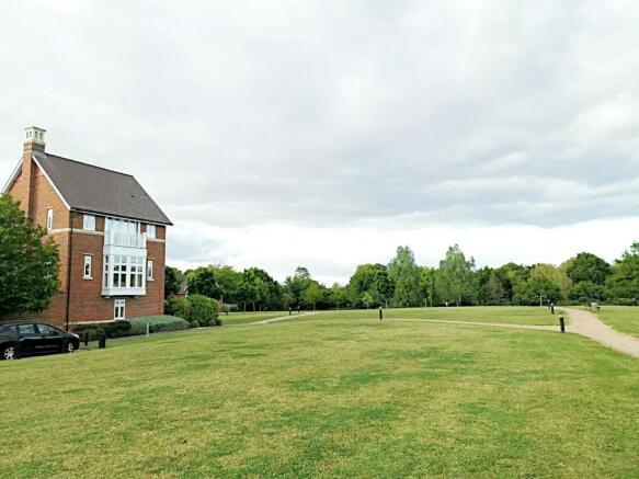 Picture No. 12