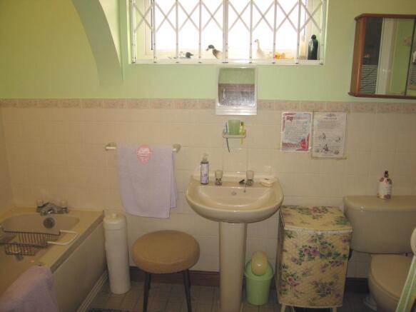 Image 6