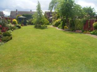 Garden Pic 2