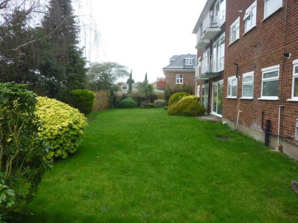 Photo 8