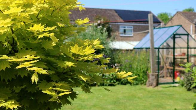 Garden at Back