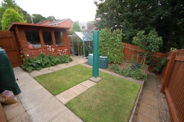 Vegetable Garden