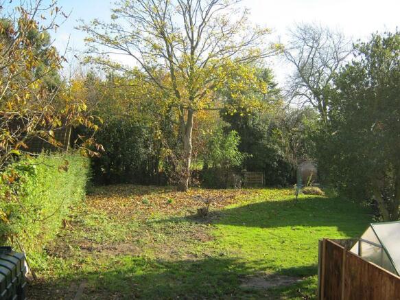 back garden
