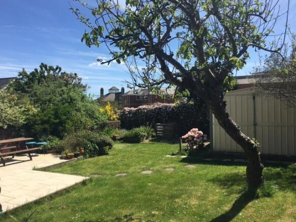 Garden 2.JPG