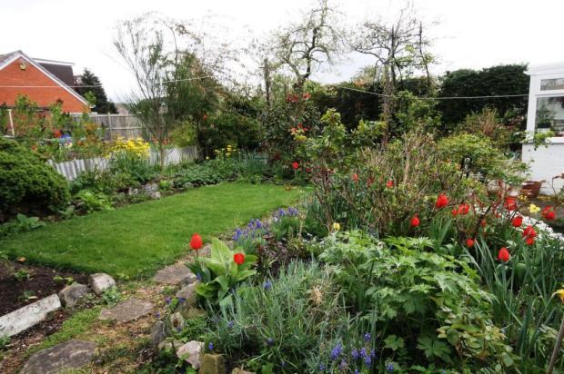 Garden 4