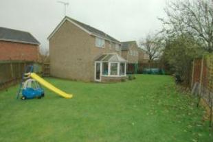 rear and Side Garden