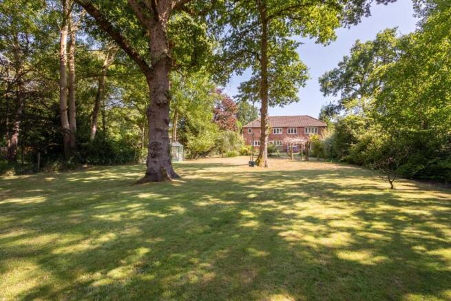 Silver Birches-7.jpg