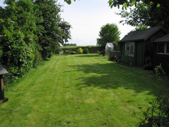 pinelea rear garden 